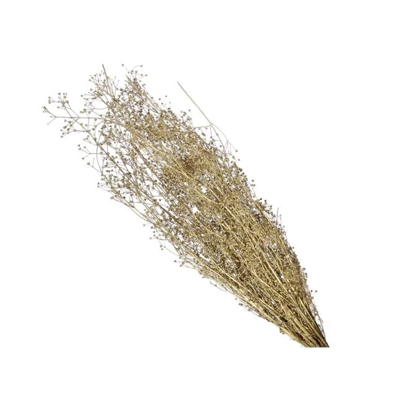 Spergula csokor szárított 55 cm arany