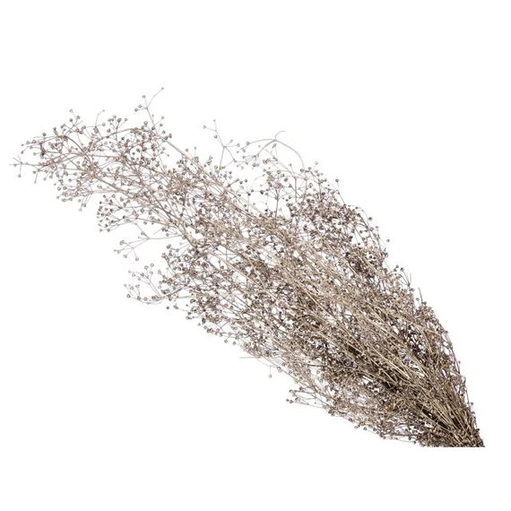 Spergula csokor szárított 55 cm ezüst