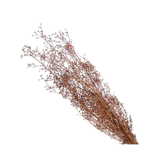 Spergula csokor szárított 55 cm réz
