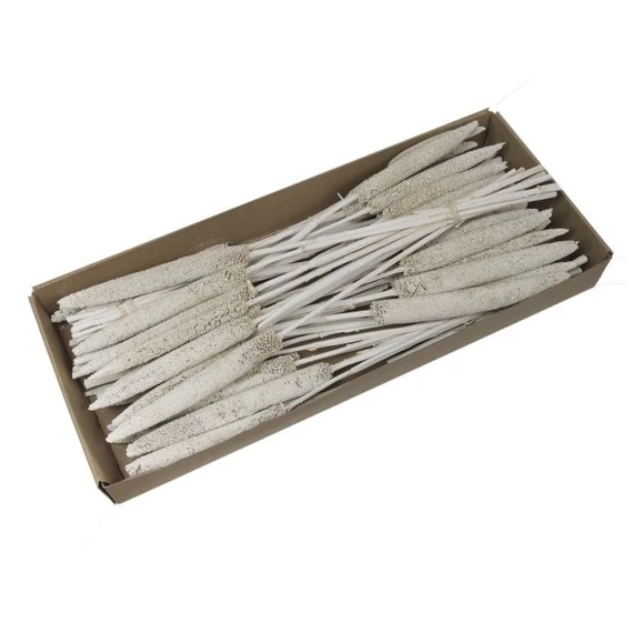 Szárazvirág csokor dobozban, fehér, 70-75 cm, 6 db