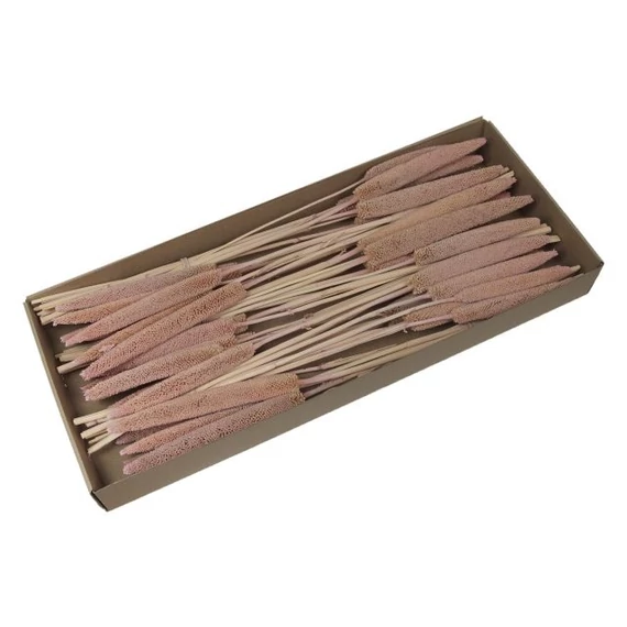 Szárazvirág csokor dobozban, mályva, 70-75 cm, 6 db