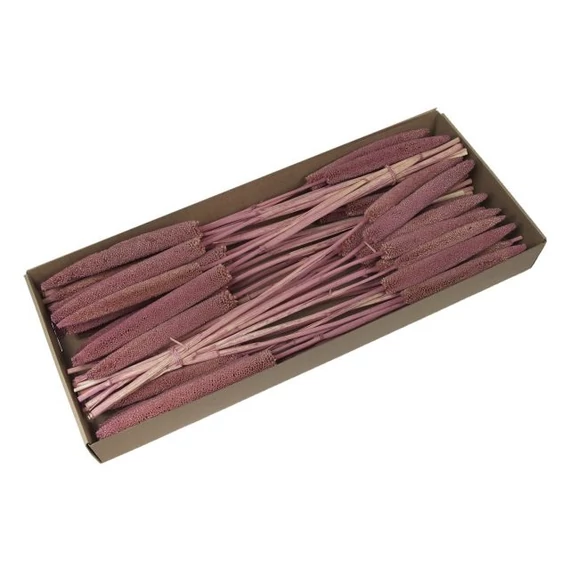 Szárazvirág csokor babla dobozban rózsaszín 70-75 cm 6 db