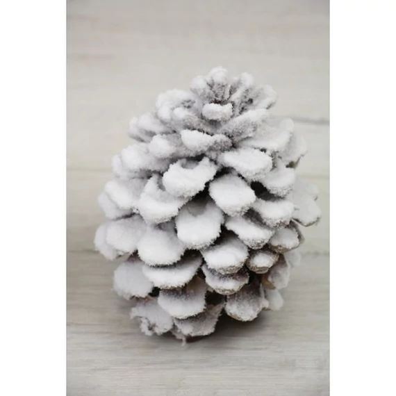 Havas toboz, 12 cm