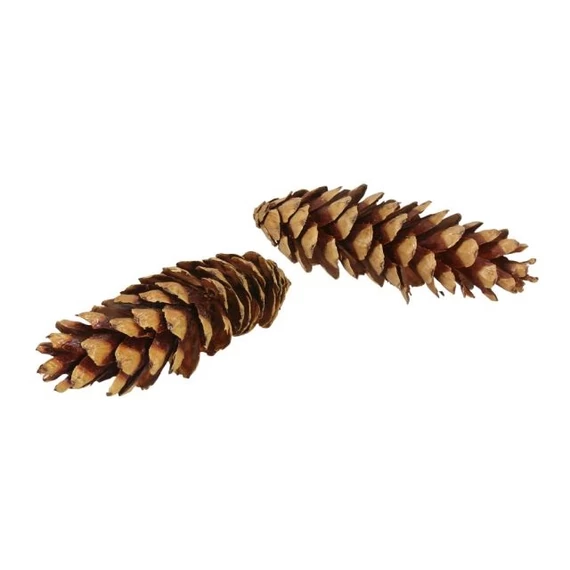 Szárított toboz, 20-25 cm, barna, 25 db