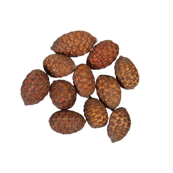 Szárított termés, 500 gr, barna