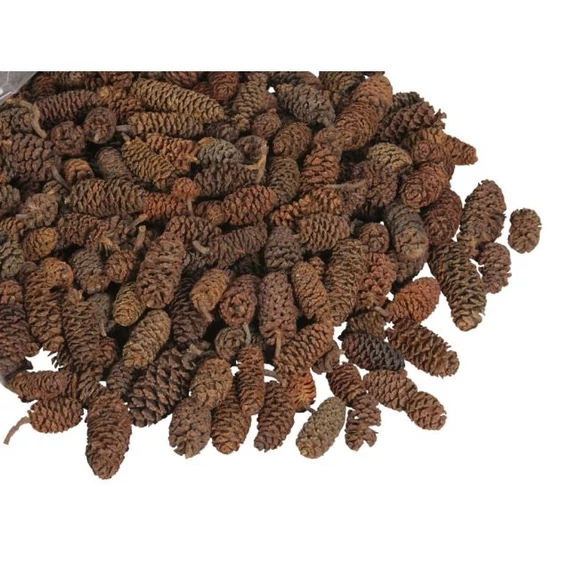 Szárított éger termés, 500 g, barna