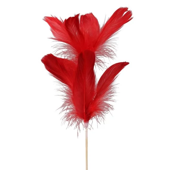 Toll betűzős 72 cm piros 12 db