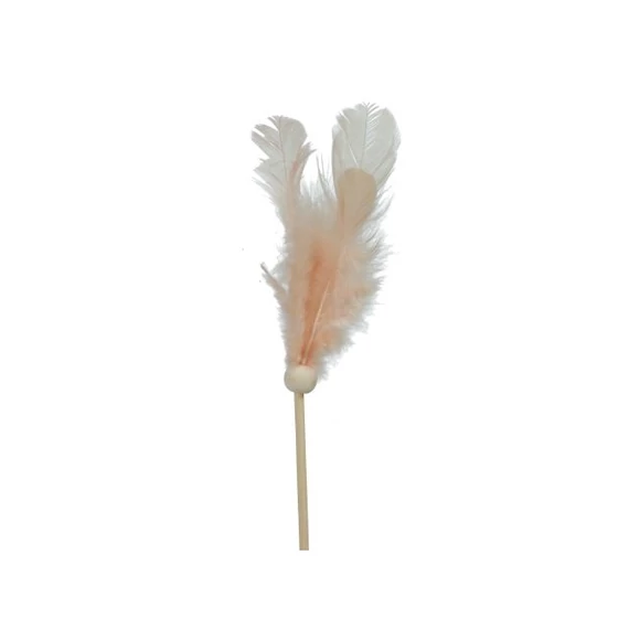 Tollcsokor betűzős barack 9 cm (24 db)