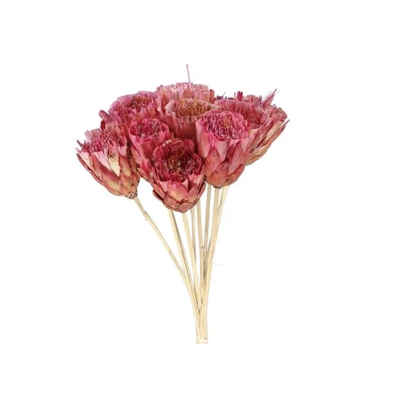 Szárított virág, bambusz szárral, 50 cm, pink, 10 db