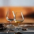 Kép 3/3 - Brandy pohár Universal üveg 530 ml átlátszó 6 db