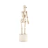 Kép 1/2 - Lazy Bones csontváz figura