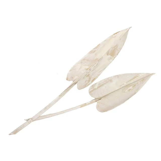 Szárított levél, fehér, 20 cm, 5 db
