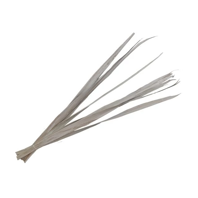 Pálmalevél, szárított, köteg, fehér, 80-95 cm, 10 db