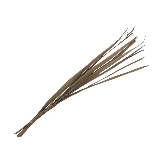 Pálmalevél, szárított, köteg, natúr, 80-95 cm, 10 db