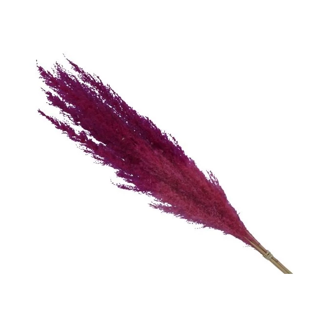 Pampafű csokor, rózsaszín, 75 cm, 5 db
