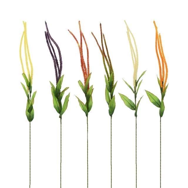 Selyemvirág Amaranthus, 46 cm (6 féle)
