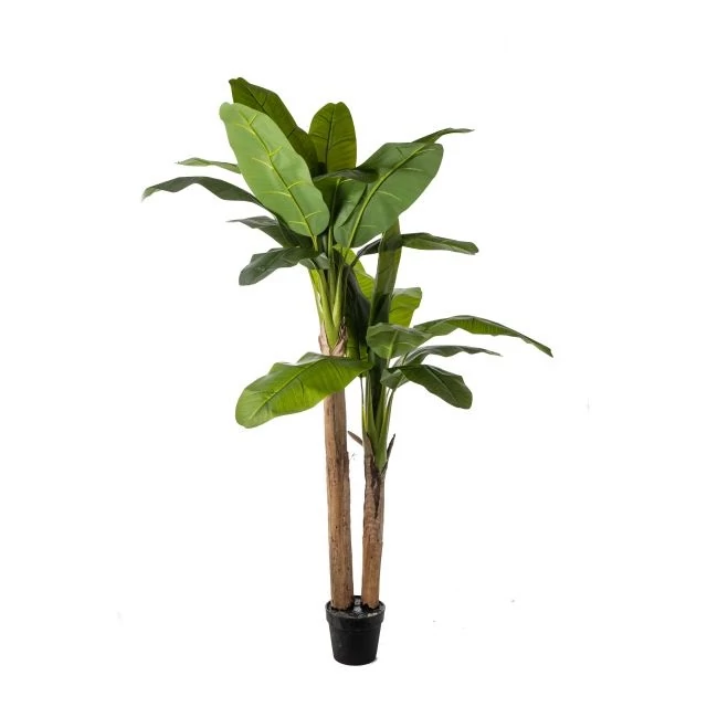 Selyemvirág, banán pálma kaspóban, műanyag, 200 cm, zöld