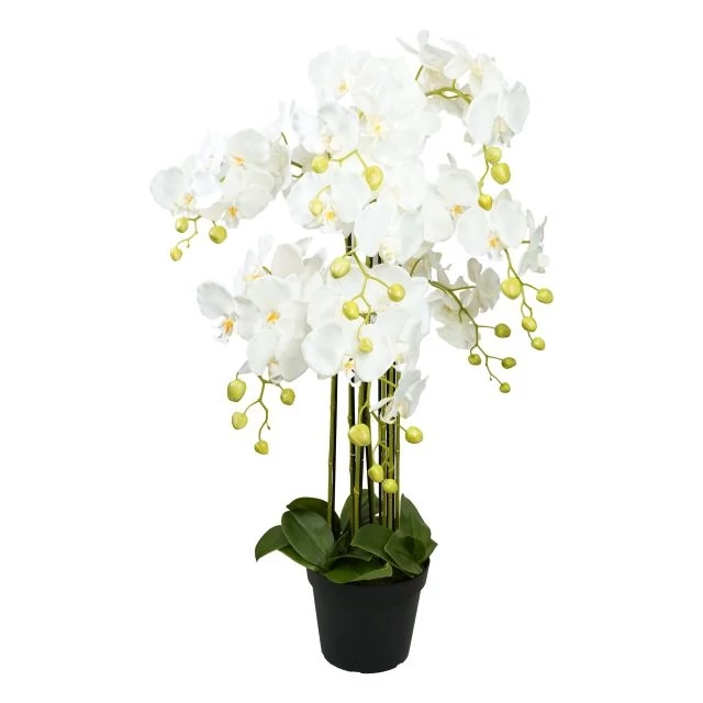 Selyemvirág Lepkeorchidea, 8 ágú, kaspóban, műanyag, 90 cm, fehér-zöld