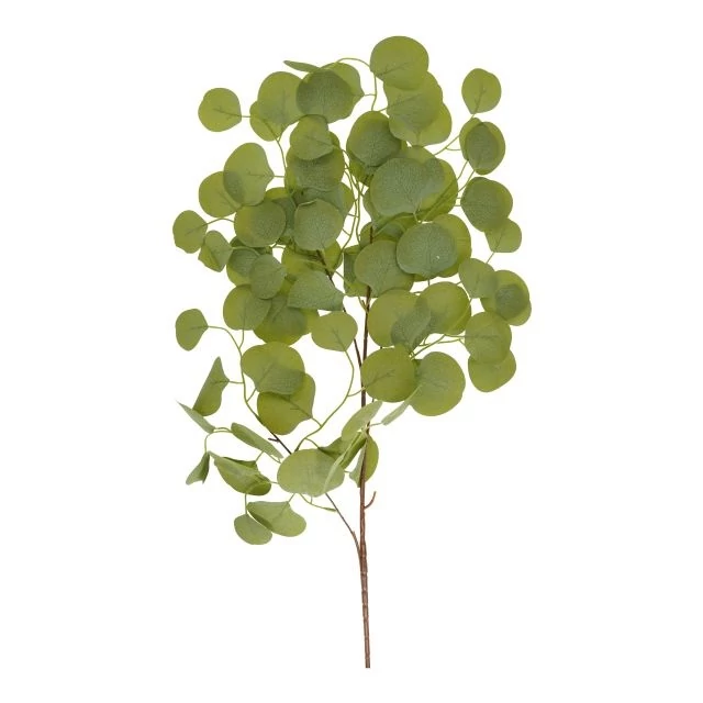 Selyemvirág ág Eucalyptus populus 80 cm zöld