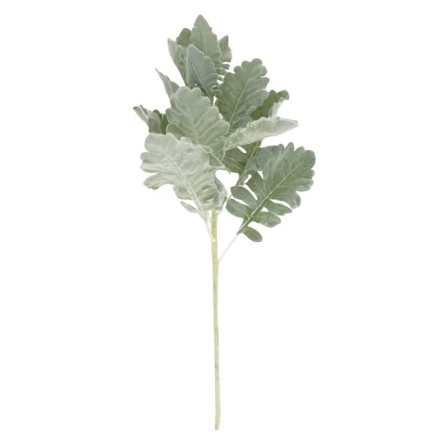 Selyemvirág ág Senecio 46 cm hamvaszöld