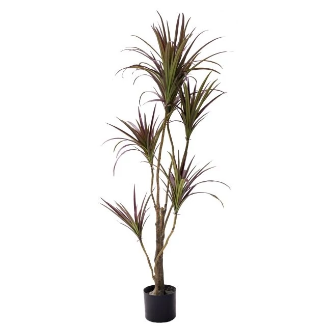 Selyemvirág dracaena cserepes műanyag zöld-bordó 125 cm