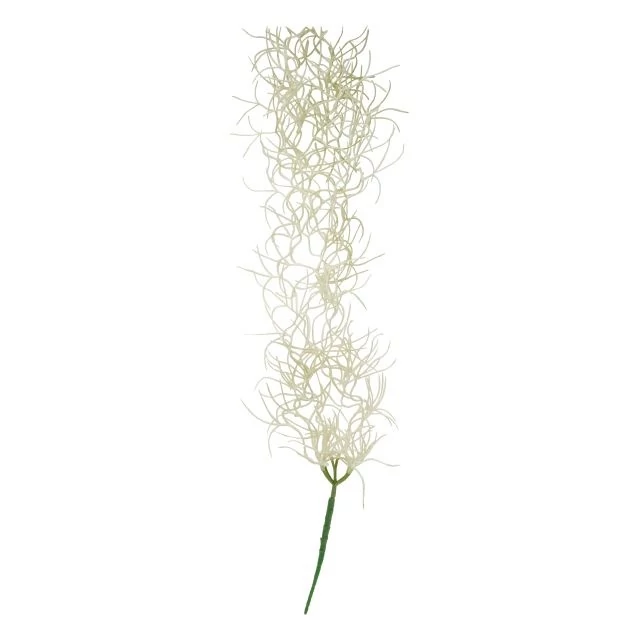 Selyemvirág futó szakáll bromélia 112 cm fehér