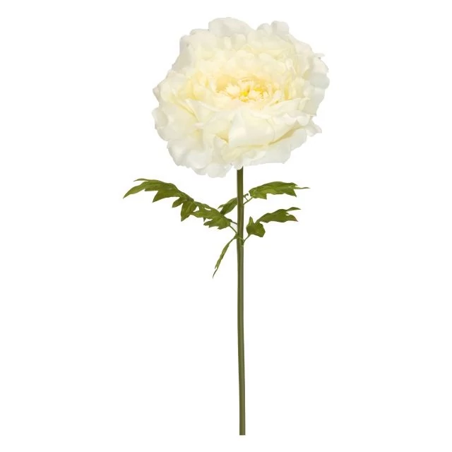 Selyemvirág óriás peonia XXL 150x55 cm krém