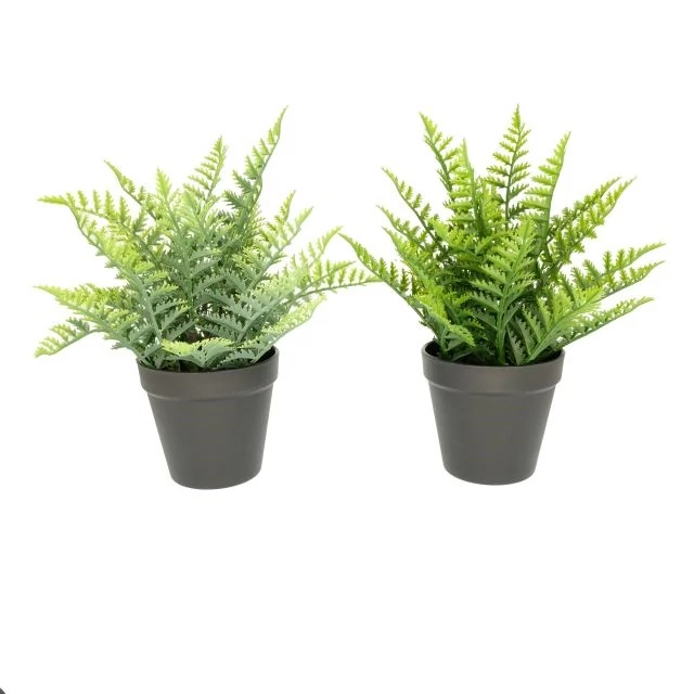 Selyemvirág Páfrány cserepes 29 cm zöld 2 féle