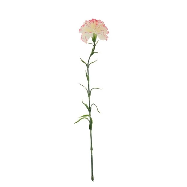 Selyemvirág Szegfű 69x10x10 cm fehér, pink