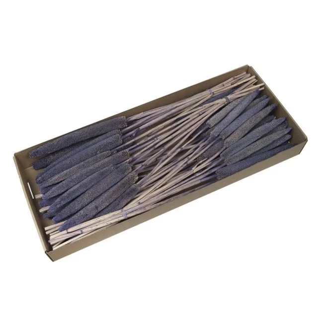 Szárazvirág csokor babla dobozban lila 70-75 cm 6 db