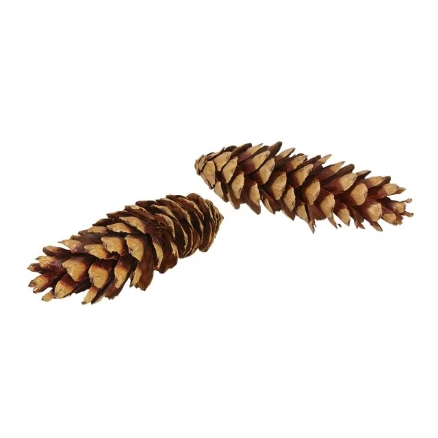 Szárított toboz, 20-25 cm, barna, 25 db