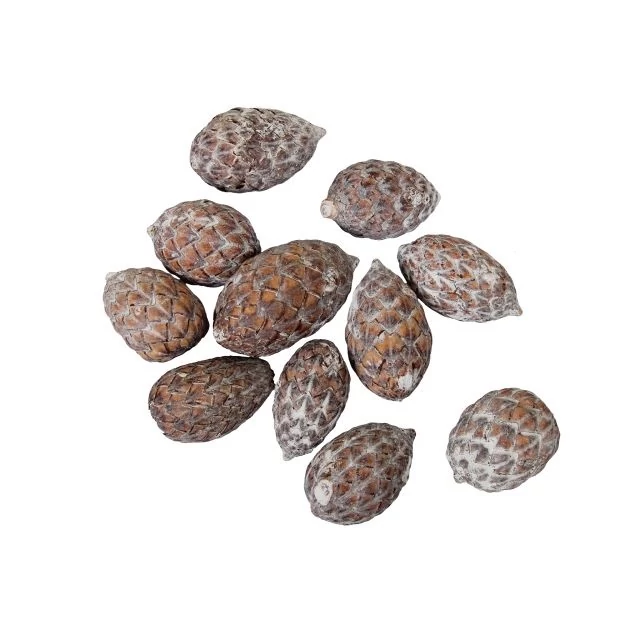 Szárított termés, 500 gr, fehér